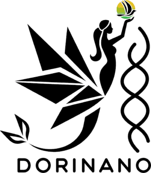 DoriNano logo