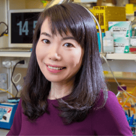 Yang Claire Zeng, M.D., Ph.D.