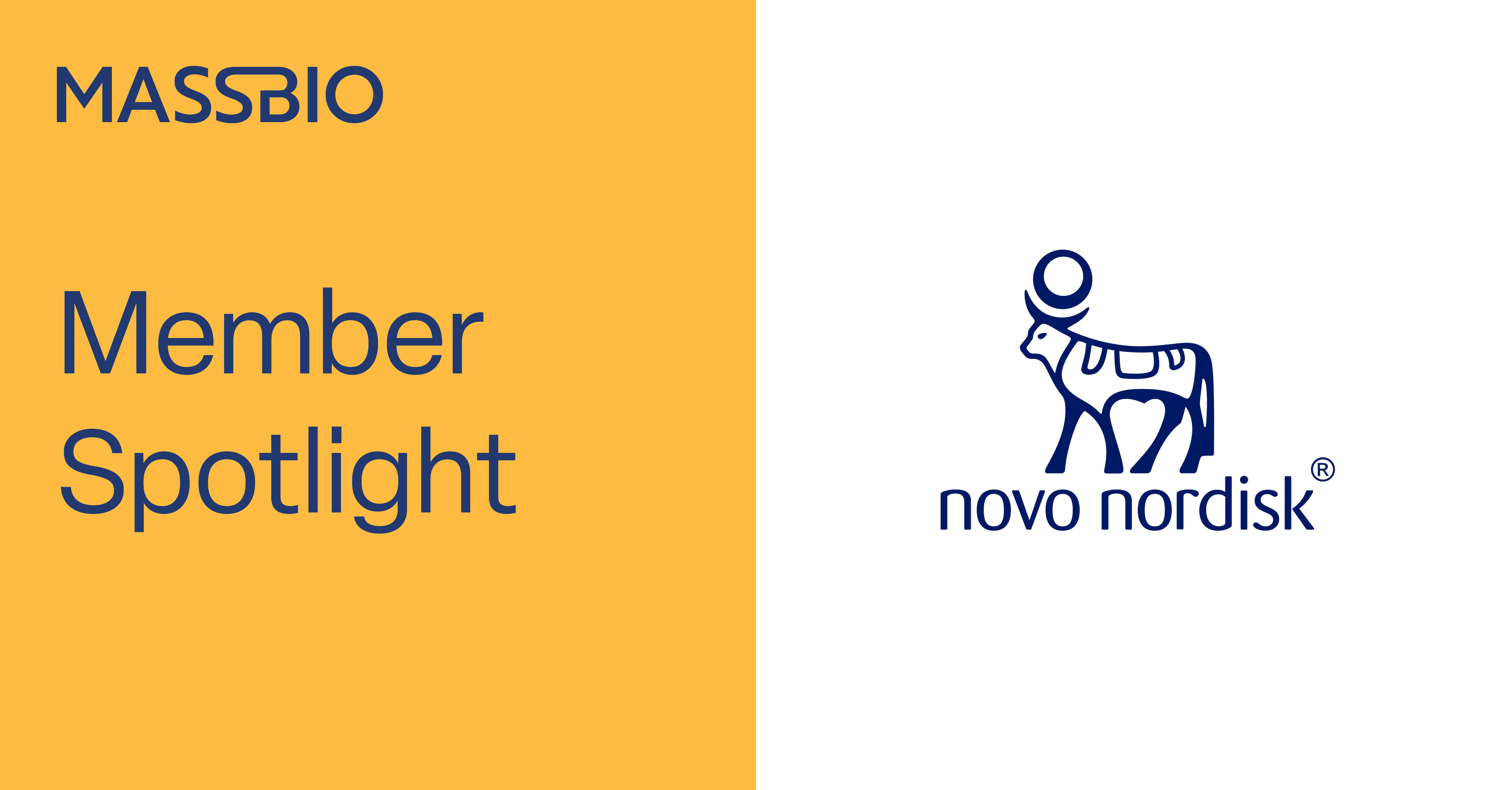 A graphic featuring the MassBio logo and the words Member Spotlight on a yellow background, and the Novo Nordisk logo on a white background.